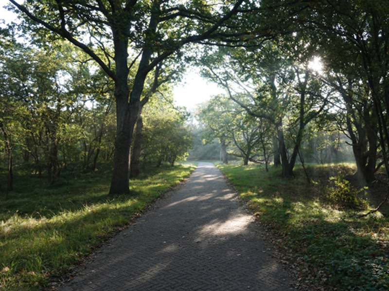/-/media/images/duinen/excursies-duinen/excursies-800x600-meijendel.jpg