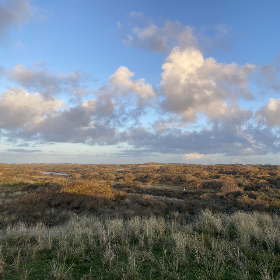 De duinen van Scheveningen