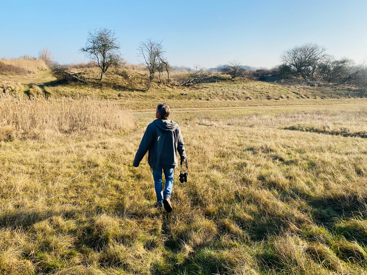 Rinse lopend in de duinen