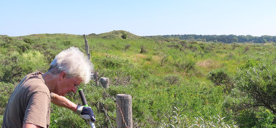 /-/media/images/duinen/maartje-vrijwilligersnieuwsbrief-website-mobie.ashx