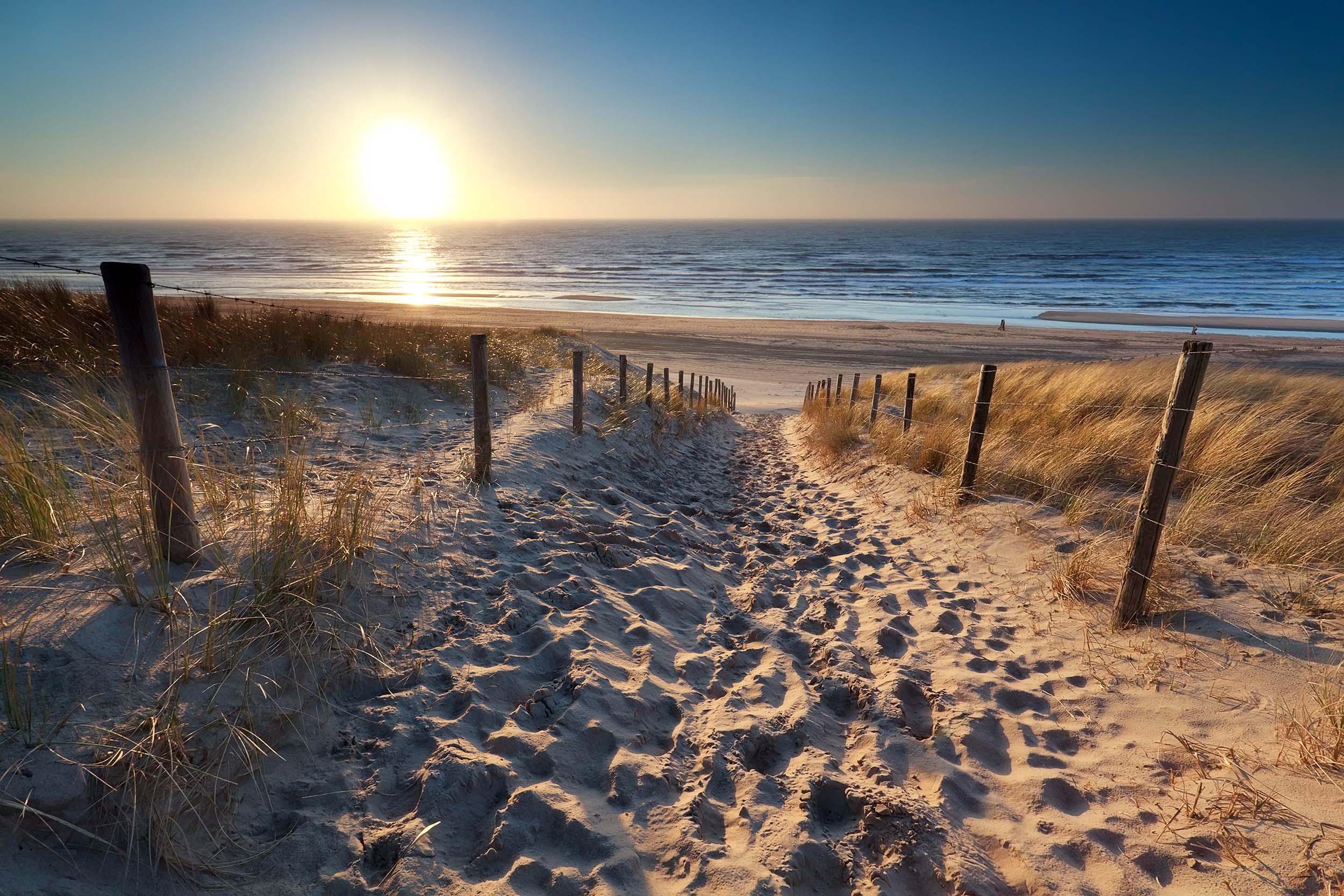 Nationaal Park Hollandse Duinen