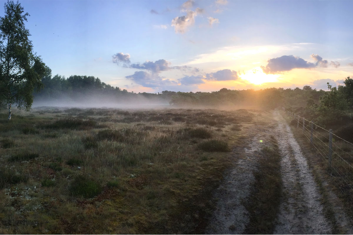 /-/media/images/duinen/solleveld-homepage.jpg