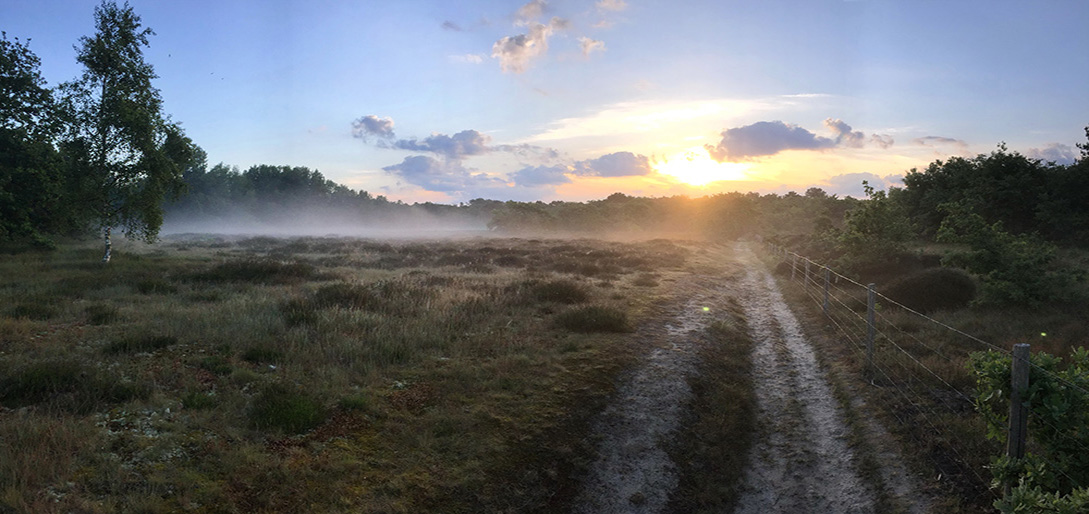 /-/media/images/duinen/zhl-solleveld.jpg