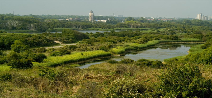 /-/media/images/nieuwsbrieven/januari-2022/watertoren-in-het-duin-mobiel.jpg