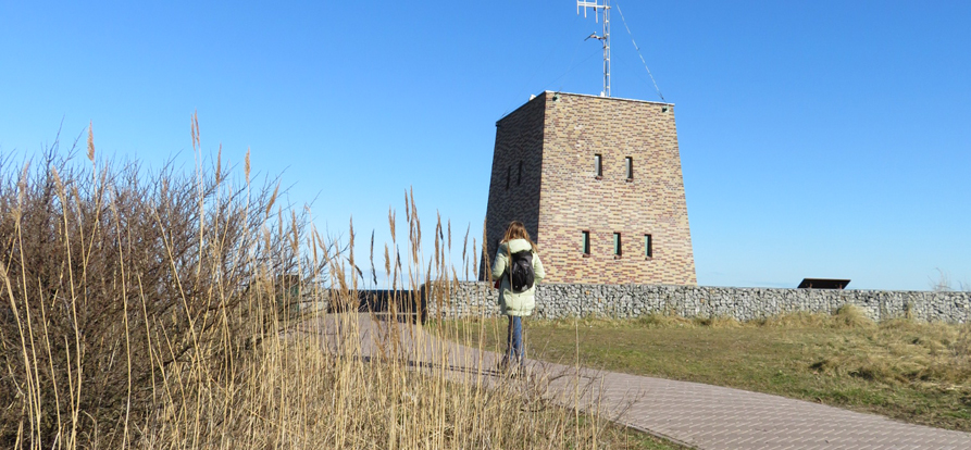 /-/media/images/nieuwsbrieven/maart-2021/wandelapp-mobiel-stakeholder.jpg