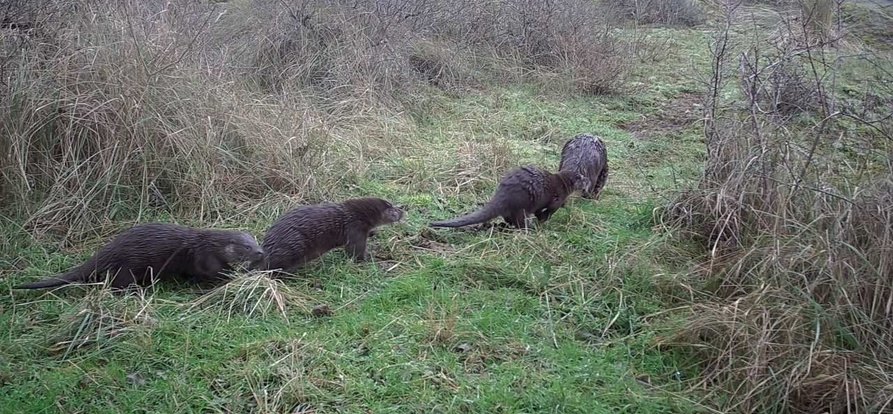 /-/media/otter-2026-banner-mobiel-893x414.jpg